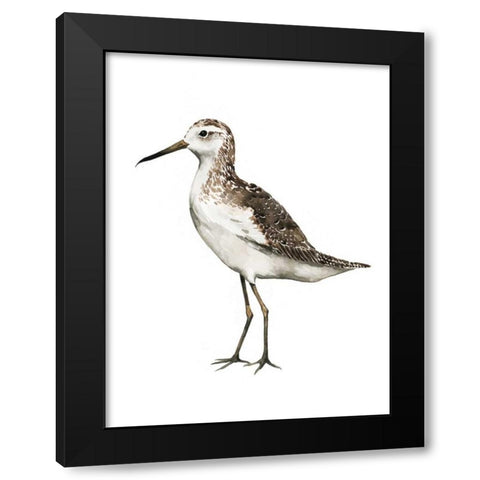 Sea Bird VI Black Modern Wood Framed Art Print by Popp, Grace