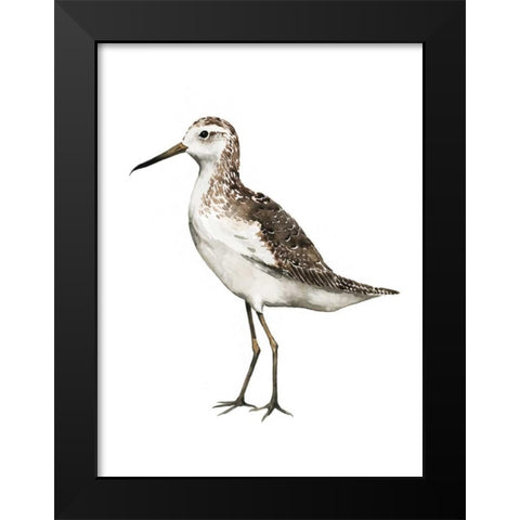 Sea Bird VI Black Modern Wood Framed Art Print by Popp, Grace