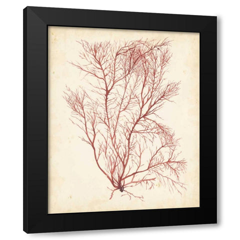 Watercolor Sea Grass I Black Modern Wood Framed Art Print by Popp, Grace