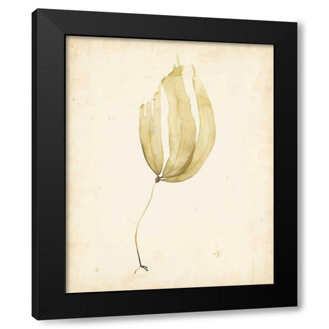 Watercolor Sea Grass III Black Modern Wood Framed Art Print by Popp, Grace