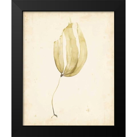 Watercolor Sea Grass III Black Modern Wood Framed Art Print by Popp, Grace