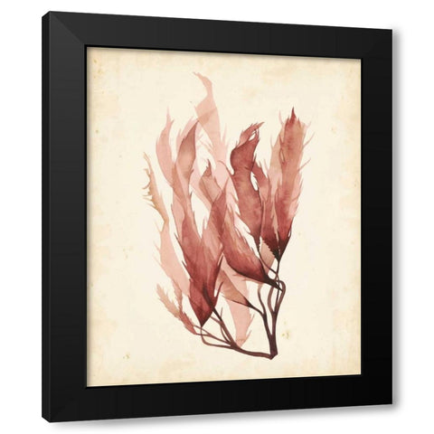 Watercolor Sea Grass IV Black Modern Wood Framed Art Print by Popp, Grace