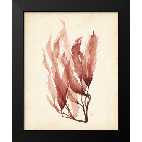 Watercolor Sea Grass IV Black Modern Wood Framed Art Print by Popp, Grace