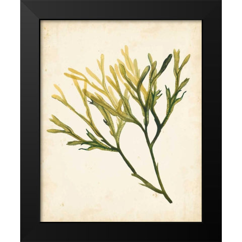 Watercolor Sea Grass V Black Modern Wood Framed Art Print by Popp, Grace