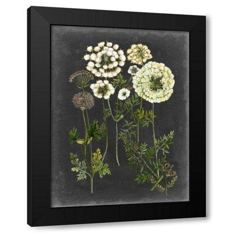 Bookplate Floral II Black Modern Wood Framed Art Print by McCavitt, Naomi