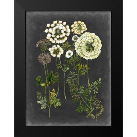 Bookplate Floral II Black Modern Wood Framed Art Print by McCavitt, Naomi