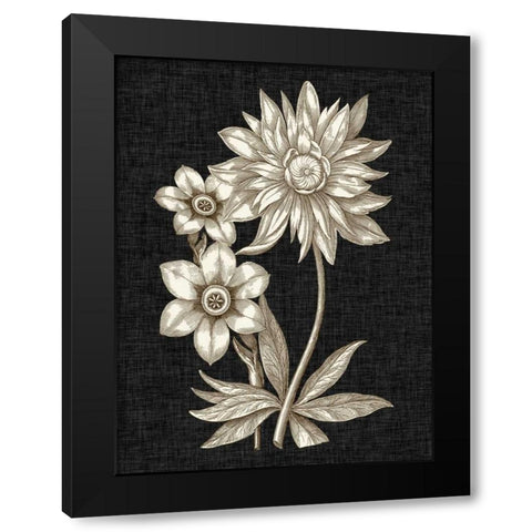 Dramatic Chintz I Black Modern Wood Framed Art Print with Double Matting by Vision Studio