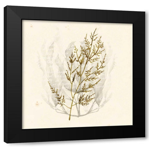 Vivid Algae I Black Modern Wood Framed Art Print with Double Matting by Popp, Grace