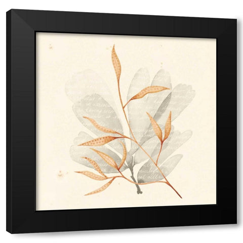 Vivid Algae V Black Modern Wood Framed Art Print by Popp, Grace