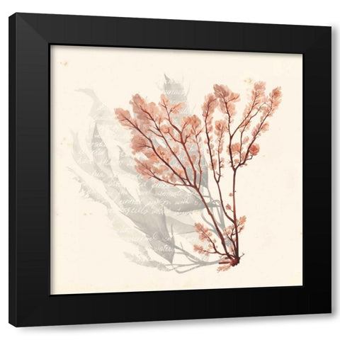 Vivid Algae VI Black Modern Wood Framed Art Print by Popp, Grace