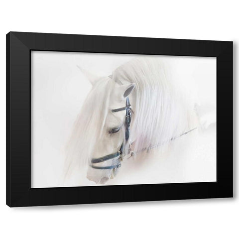 Purebred III Black Modern Wood Framed Art Print with Double Matting by Sturgeon, Ozana
