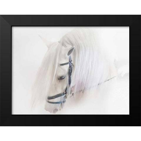 Purebred III Black Modern Wood Framed Art Print by Sturgeon, Ozana