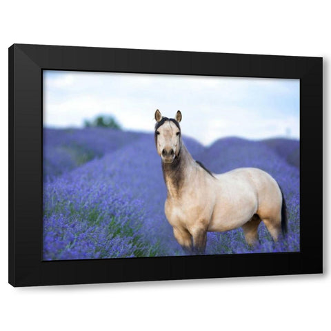 Flower Frolick III Black Modern Wood Framed Art Print with Double Matting by Sturgeon, Ozana