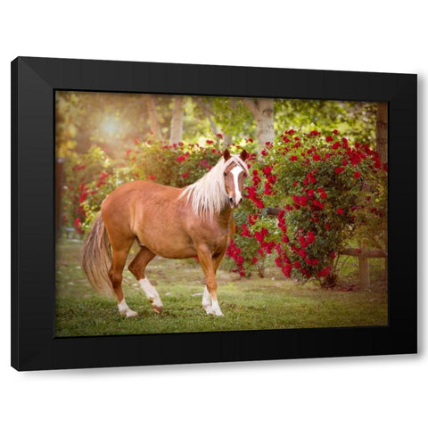 Flower Frolick IV Black Modern Wood Framed Art Print with Double Matting by Sturgeon, Ozana