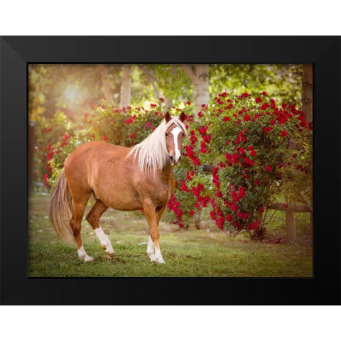 Flower Frolick IV Black Modern Wood Framed Art Print by Sturgeon, Ozana