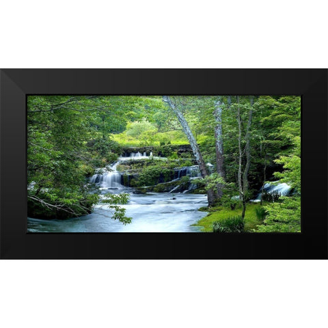 Enchanted Forest Black Modern Wood Framed Art Print by McLoughin, James