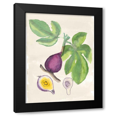 Watercolor Fruit I Black Modern Wood Framed Art Print with Double Matting by McCavitt, Naomi