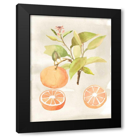 Watercolor Fruit V Black Modern Wood Framed Art Print by McCavitt, Naomi