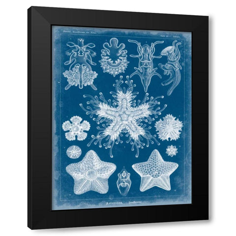 Marine Blueprint III Black Modern Wood Framed Art Print with Double Matting by Vision Studio