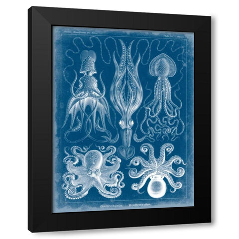 Marine Blueprint V Black Modern Wood Framed Art Print by Vision Studio