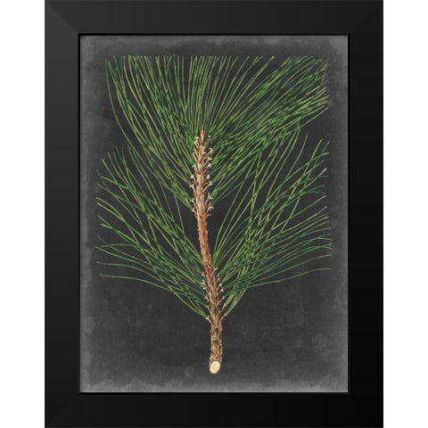 Dramatic Pine I Black Modern Wood Framed Art Print by Vision Studio