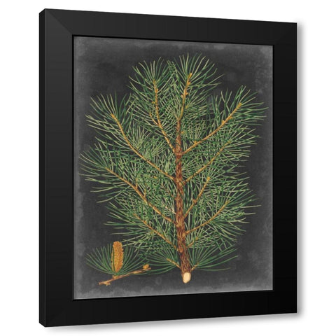 Dramatic Pine II Black Modern Wood Framed Art Print with Double Matting by Vision Studio