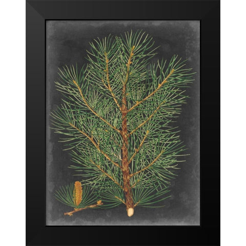 Dramatic Pine II Black Modern Wood Framed Art Print by Vision Studio