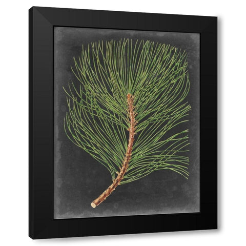 Dramatic Pine III Black Modern Wood Framed Art Print with Double Matting by Vision Studio