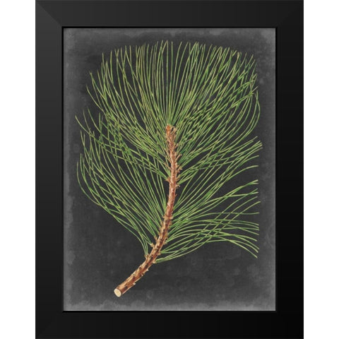 Dramatic Pine III Black Modern Wood Framed Art Print by Vision Studio