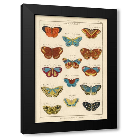 Histoire Naturelle Butterflies I Black Modern Wood Framed Art Print with Double Matting by Unknown