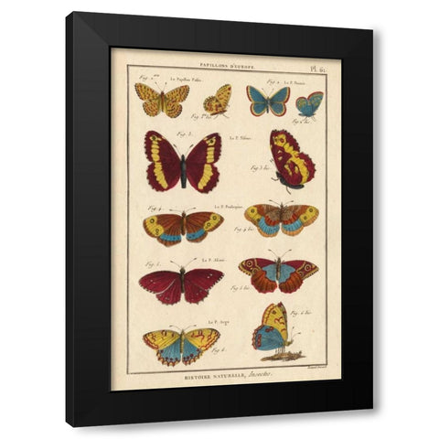Histoire Naturelle Butterflies IV Black Modern Wood Framed Art Print by Unknown