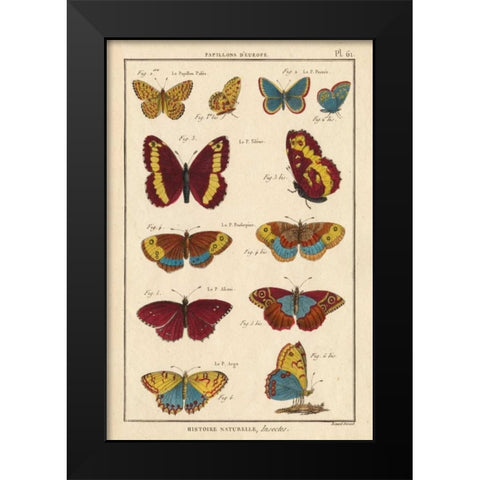 Histoire Naturelle Butterflies IV Black Modern Wood Framed Art Print by Unknown