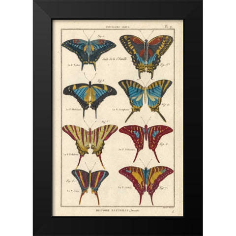 Histoire Naturelle Butterflies VI Black Modern Wood Framed Art Print by Unknown