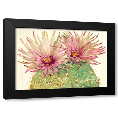 Cactus Blossoms I Black Modern Wood Framed Art Print by OToole, Tim