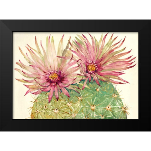 Cactus Blossoms I Black Modern Wood Framed Art Print by OToole, Tim