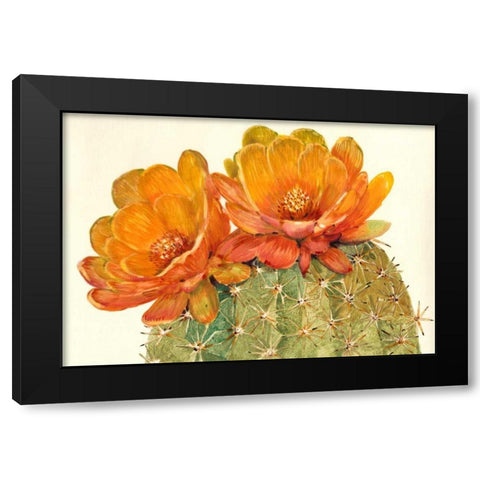 Cactus Blossoms II Black Modern Wood Framed Art Print with Double Matting by OToole, Tim