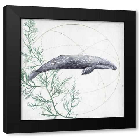 Love of the Sea III Black Modern Wood Framed Art Print with Double Matting by Popp, Grace