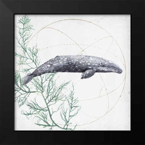 Love of the Sea III Black Modern Wood Framed Art Print by Popp, Grace