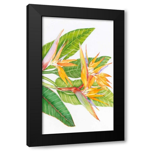 Exotic Flowers II Black Modern Wood Framed Art Print with Double Matting by OToole, Tim