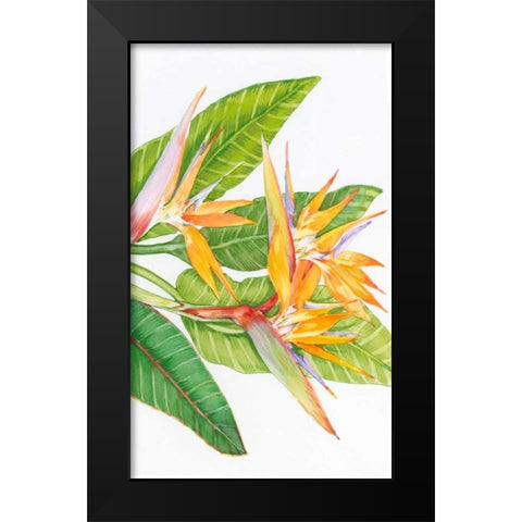 Exotic Flowers II Black Modern Wood Framed Art Print by OToole, Tim