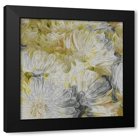 Custom Mums in Sun I (ASH) Black Modern Wood Framed Art Print by Burghardt, James