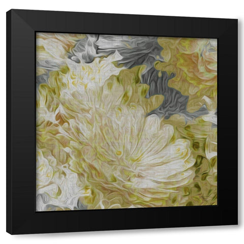 Custom Mums in Sun II (ASH) Black Modern Wood Framed Art Print by Burghardt, James