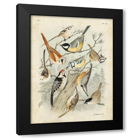 Custom Gathering of Birds II (ASH) Black Modern Wood Framed Art Print with Double Matting by Lubbert, G.