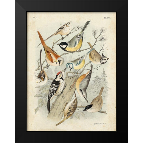 Custom Gathering of Birds II (ASH) Black Modern Wood Framed Art Print by Lubbert, G.