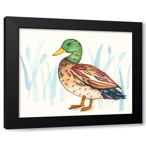 Wetland Mallard I Black Modern Wood Framed Art Print with Double Matting by Ewer, Rebekah