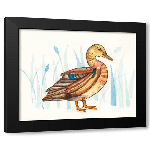 Wetland Mallard II Black Modern Wood Framed Art Print with Double Matting by Ewer, Rebekah