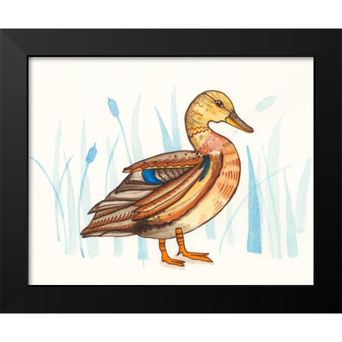 Wetland Mallard II Black Modern Wood Framed Art Print by Ewer, Rebekah
