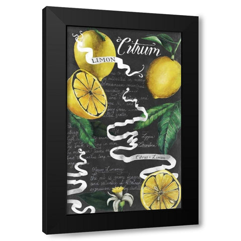 Chalkboard Citrus I Black Modern Wood Framed Art Print with Double Matting by Popp, Grace