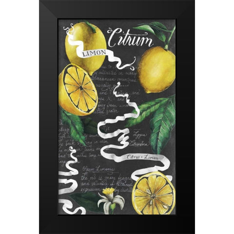 Chalkboard Citrus I Black Modern Wood Framed Art Print by Popp, Grace