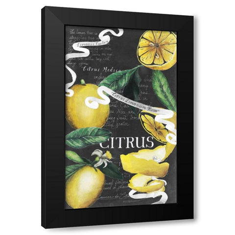 Chalkboard Citrus II Black Modern Wood Framed Art Print with Double Matting by Popp, Grace